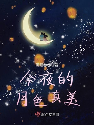 今夜的月色真美