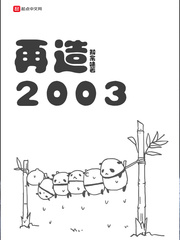 再造2003