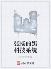 张扬的黑科技系统